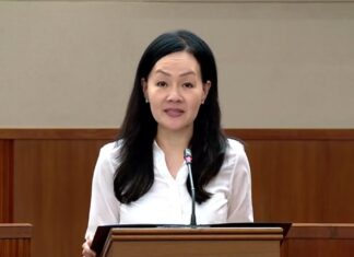 Budget 2025 debate: Rachel Ong on mental health challenges faced by seniors Budget 2025 debate: Rachel Ong on mental health challenges faced by seniors