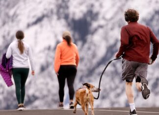 Does lifestyle or genes influence how long and well you live? – Deseret News Does lifestyle or genes influence how long and well you live? – Deseret News