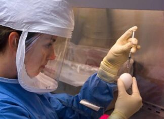 NSHAP study examines cognition and aging in post-COVID era NSHAP study examines cognition and aging in post-COVID era