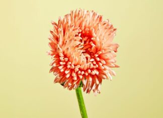 Study Shows Lifestyle, Environment Play Larger Role In Aging Than Genes Study Shows Lifestyle, Environment Play Larger Role In Aging Than Genes