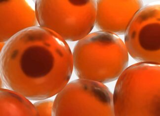 Unlocking the Secrets to Longevity Unlocking the Secrets to Longevity