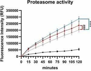 Montelukast improves retinal health in aging Montelukast improves retinal health in aging
