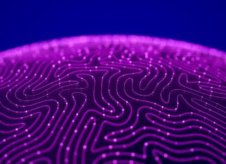 How science and daily habits preserve brain function How science and daily habits preserve brain function