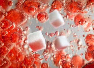 Longevity vs. Metabolism: How Birds Cheat the Aging Process Longevity vs. Metabolism: How Birds Cheat the Aging Process