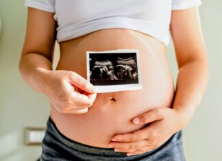 Mom’s health shapes how well an embryo develops Mom's health shapes how well an embryo develops