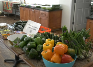 Seniors may struggle to eat healthy, it’s vital to managing chronic issues and aging Seniors may struggle to eat healthy, it’s vital to managing chronic issues and aging