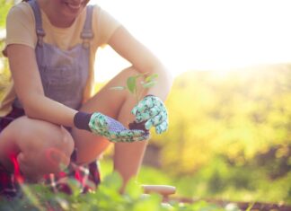 Health Benefits of Gardening: Cultivating Heart Health A photograph of a person crouching in a field or a yard and holding a seedling they are preparing to plant; the person is out of focus but smiling.