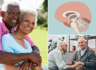 Key to healthy aging may be found in brain’s ‘blue spot’ Key to healthy aging may be found in brain’s ‘blue spot’