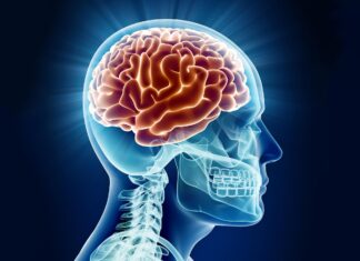 New Anti-Aging Compounds Show Promise in Treating Alzheimer’s Disease New Anti-Aging Compounds Show Promise in Treating Alzheimer’s Disease