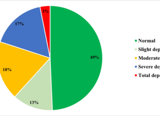 Assessment of Self-Care in Promoting Healthy Aging Among the Elderly in Rural Areas of Kancheepuram, Tamil Nadu Assessment of Self-Care in Promoting Healthy Aging Among the Elderly in Rural Areas of Kancheepuram, Tamil Nadu