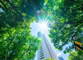 Diverse trees reduce heat and promote healthy aging in urban areas Diverse trees reduce heat and promote healthy aging in urban areas