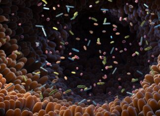 Insights from a Yakult symposium Insights from a Yakult symposium