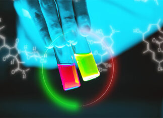 Protein discovered that boosts lifespan, muscle, and brain power Protein discovered that boosts lifespan, muscle, and brain power