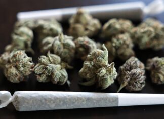 More Seniors Are Using Drugs—Here’s Why It Matters | Opinion Marijuana