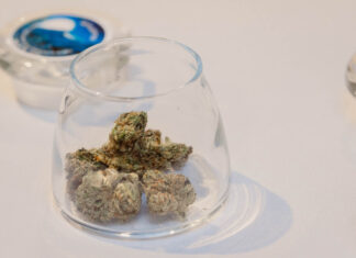 Marijuana’s Links to Heart Attack and Stroke Are Becoming Clearer Marijuana’s Links to Heart Attack and Stroke Are Becoming Clearer