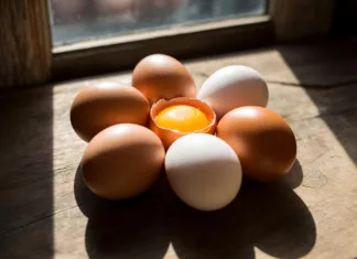 Study finds eating 1-6 eggs weekly lowers heart disease death risk by 29% in seniors Study finds eating 1-6 eggs weekly lowers heart disease death risk by 29% in seniors
