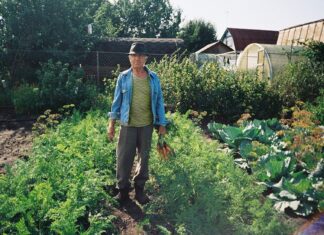 3 diets may reduce diabetes, dementia, and heart disease risk 3 diets may reduce diabetes, dementia, and heart disease risk