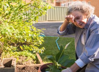Summer heat poses serious health risks for older adults, expert warns Summer heat poses serious health risks for older adults, expert warns