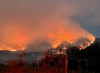 Air purifiers may reduce cardiovascular risks from pollution and wildfires Air purifiers may reduce cardiovascular risks from pollution and wildfires