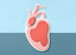 Heart Age Calculator Reveals Many Are Living With Premature Aging Heart Age Calculator Reveals Many Are Living With Premature Aging