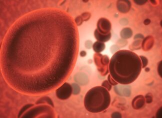 COVID Infection Can Age Blood Vessels and Weaken Heart Health, Especially in Women COVID Infection Can Age Blood Vessels and Weaken Heart Health, Especially in Women