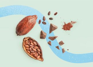 Could Cocoa Supplements Combat Heart Disease and Promote Longevity? Could Cocoa Supplements Combat Heart Disease and Promote Longevity?