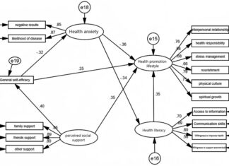Frontiers | Pathways of influence on health-promoting lifestyles in older adults with coronary heart disease: a cross-sectional study Frontiers | Pathways of influence on health-promoting lifestyles in older adults with coronary heart disease: a cross-sectional study