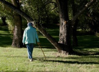 RMPBS News | Seniors practice forest bathing for better mental health | Season 2025 RMPBS News | Seniors practice forest bathing for better mental health | Season 2025
