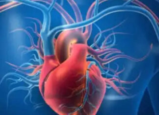 beetroot juice benefits: Scientists uncover surprising factor that slashes blood pressure, boosts heart health, and it’s simple beetroot juice benefits: Scientists uncover surprising factor that slashes blood pressure, boosts heart health, and it's simple